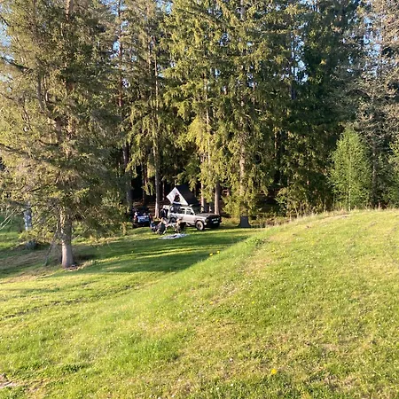 Sonnenschein *