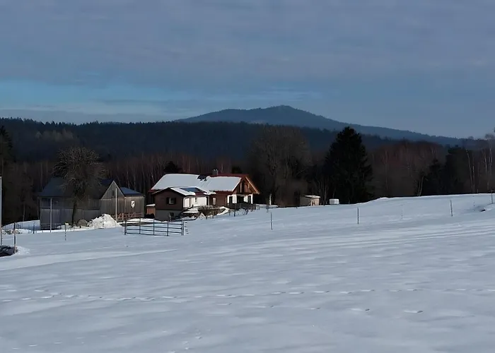 Sonnenschein